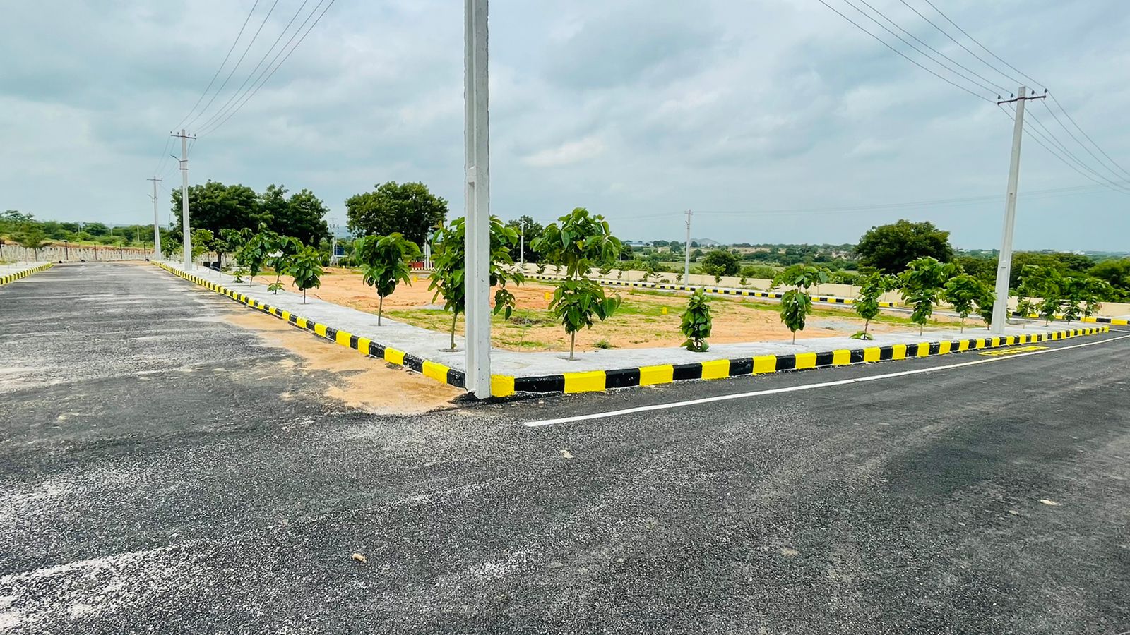 ever mark properties